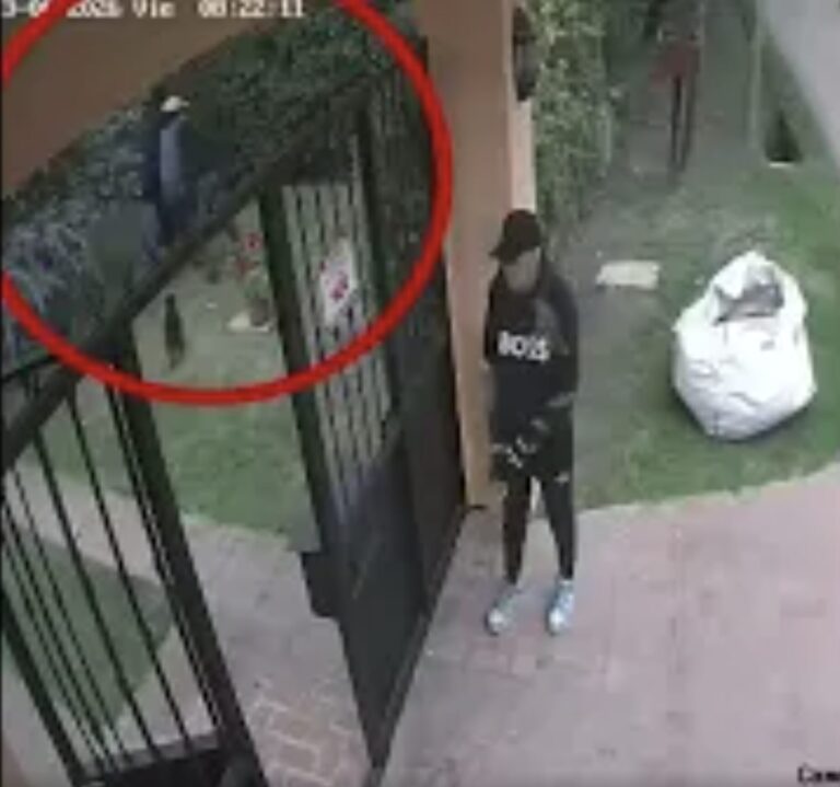 Violenta entradera en Villa Elisa